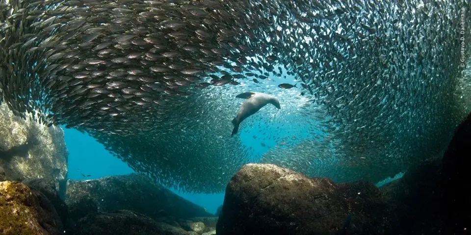 Cabo Pulmo marine park
